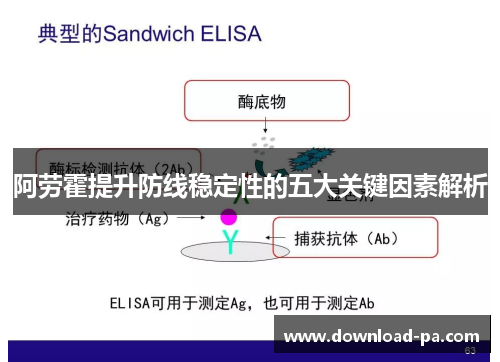 阿劳霍提升防线稳定性的五大关键因素解析 阿劳霍提升防线稳定性的五大关键因素解析