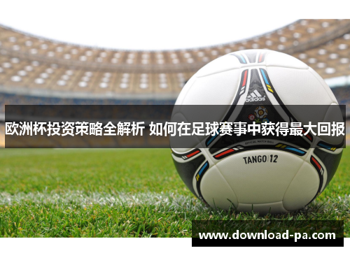 欧洲杯投资策略全解析 如何在足球赛事中获得最大回报