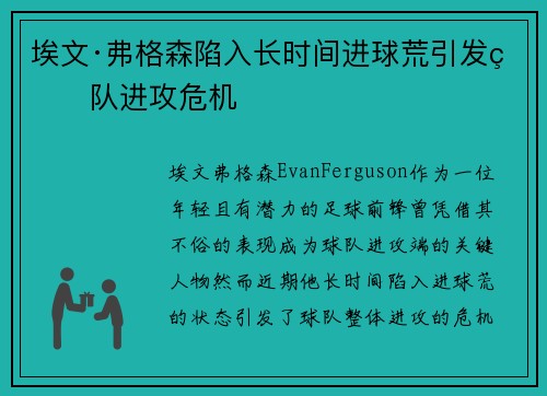 埃文·弗格森陷入长时间进球荒引发球队进攻危机 埃文·弗格森陷入长时间进球荒引发球队进攻危机